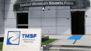 TMSF bir şirketi daha satışa çıkardı