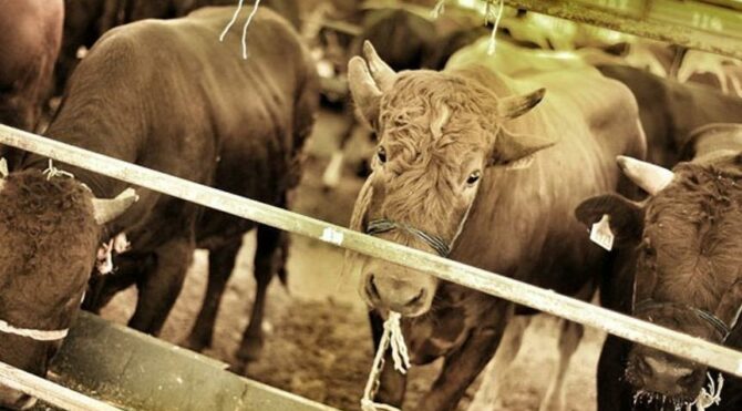 Devlet kurumunda büyük skandal! 55.5 milyon TL’lik zarar