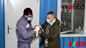 Yıldırım’da geri dönüşüm malzemelerinden minik dostlara yuva