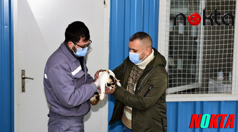 Yıldırım’da geri dönüşüm malzemelerinden minik dostlara yuva