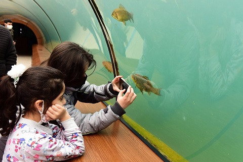 Önce Karne Sonra Eğlence