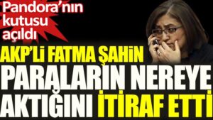 AKP’li Fatma Şahin paraların nereye aktığını tek tek anlattı: Pandora’nın kutusu açıldı!