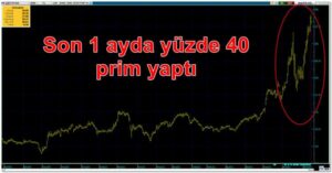 THY’yi borsada kim uçurdu? Son bir ayda yüzde 40 prim yaptı!
