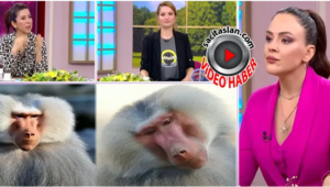 Buket Aydın: “Üstüne alınan varsa kendi sorunu”