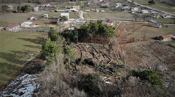 Milli Emlak’tan kiraladığı ormanda ağaç katliamı yaptı