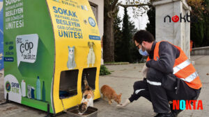 Bursa Yıldırım’dan can dostlara şefkat eli
