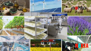 LANSY Group Mehmet Akif Ak ve Müteahhit oğlu Ali Selman Ak’ın projeleri mahkemelik mi oluyor?