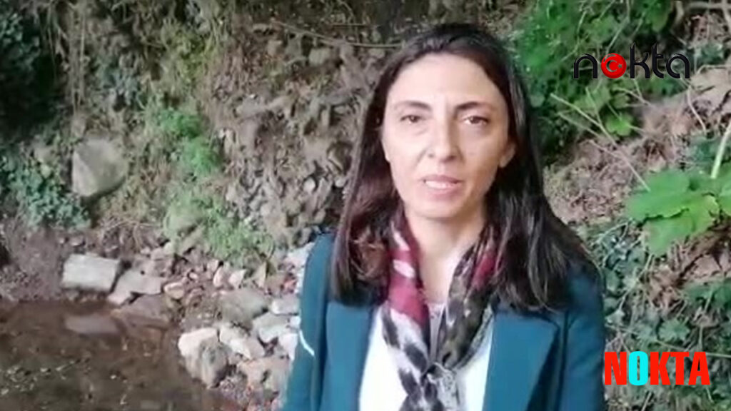 Nurhayat Altaca Kayışoğlu misal… Kadının, çakma da olsa, bir sol efekti vardı