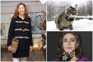 2. Yıldız Tilbe vakası! Sosyetik isim Güllü Aybar apartman bahçesindeki kedilere savaş açtı