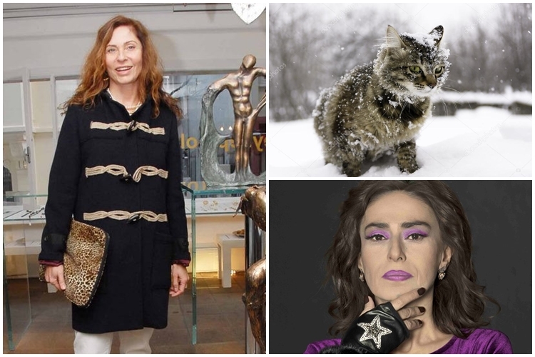 2. Yıldız Tilbe vakası! Sosyetik isim Güllü Aybar apartman bahçesindeki kedilere savaş açtı