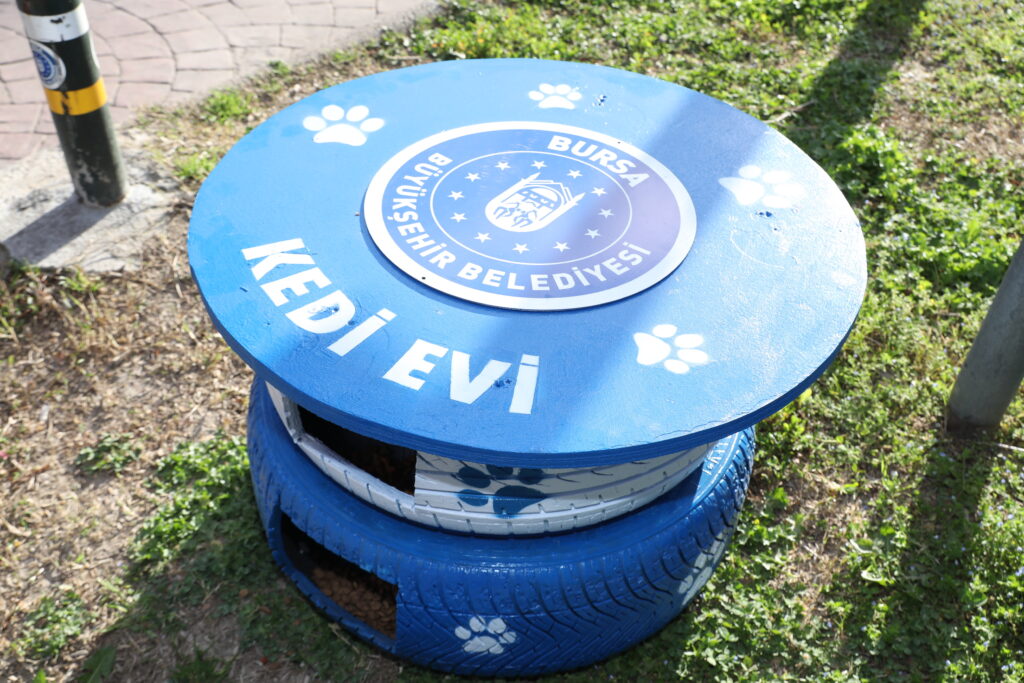 Eski lastikler kedilere ev oldu