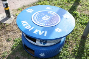 Eski lastikler kedilere ev oldu