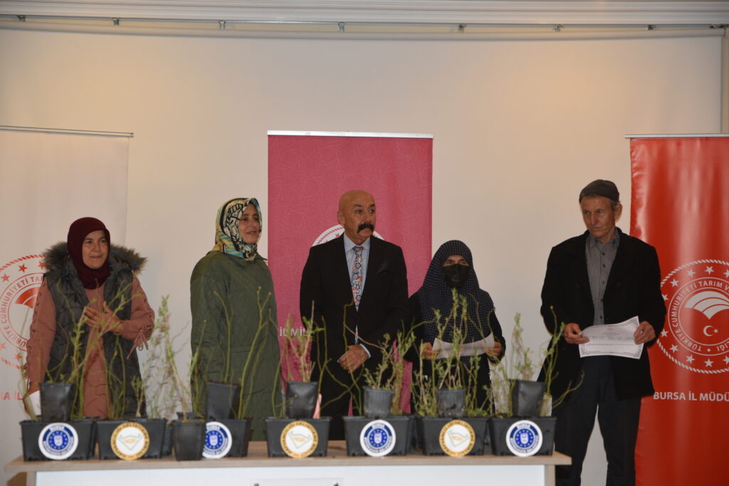 Büyükorhanlı çiftçiye fidan ve tohum desteği