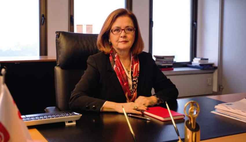 Gülsüm Azeri’nin Yönetim Kurulu Üyesi olduğu iki şirket daha çıktı