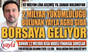 2 milyar yükümlülüğü bulunan Yayla Agro Gıda borsaya geliyor