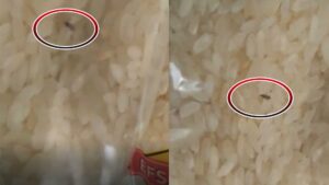 Ünlü market zincirinde büyük skandal! Bakın ürünün içinde ne çıktı…