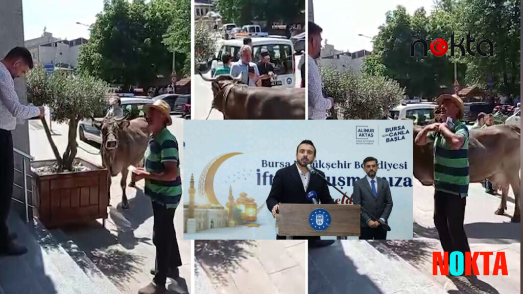 Bursa Kestel’de ahırına yıkım kararı çıkan AKP’li çiftçi isyan etti Önder Tanır’ın fetöcü olduğunu iddia etti