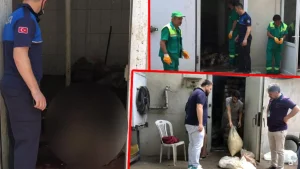 Bursa’da et işleme tesisinde mide bulandıran görüntüler… 3 ton ete imha edilmek üzere el konuldu