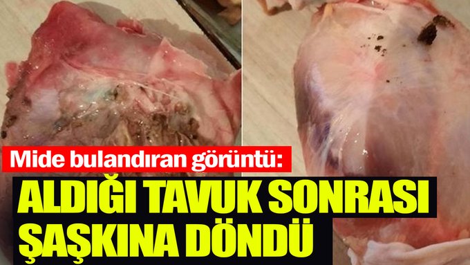 Mide bulandıran görüntü: Aldığı tavuk sonrası şaşkına döndü