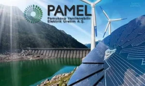 Pamel hisselerindeki ani yükselişin nedeni ne?