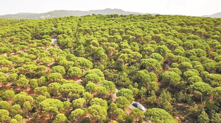 Rant hırsı Kozak’ı talan ettiriyor