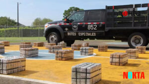 Yılport’un Latin Amerika’da işlettiği limanda 600 Kg kokain bulundu!