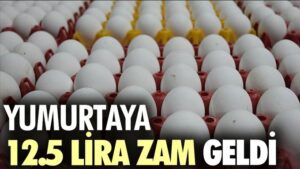 Yumurtaya 12.5 lira zam geldi