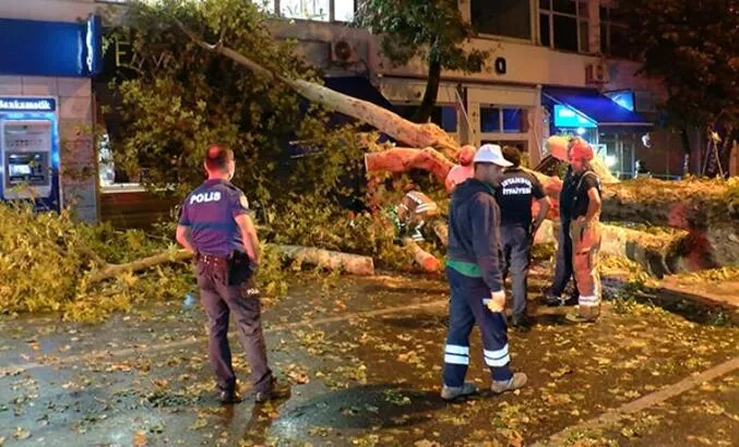 Bursa’da çay bahçesinde üzerlerine ağaç devrildi