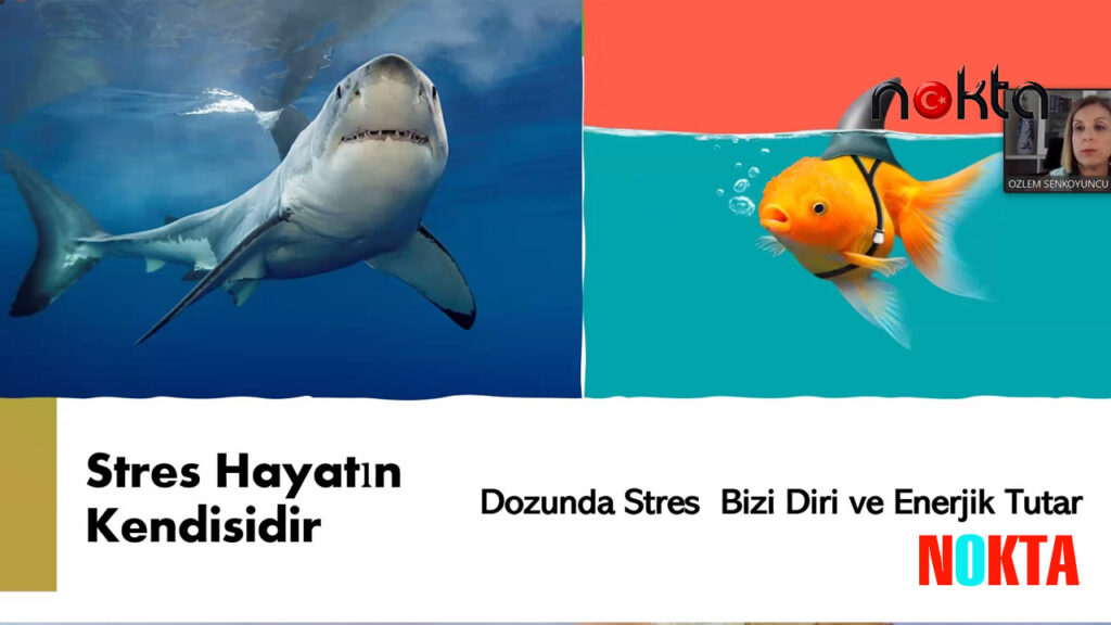 BTSO Akademi İş Dünyasına Yönelik Eğitimlerini Sürdürüyor