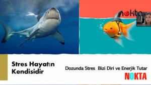 BTSO Akademi İş Dünyasına Yönelik Eğitimlerini Sürdürüyor