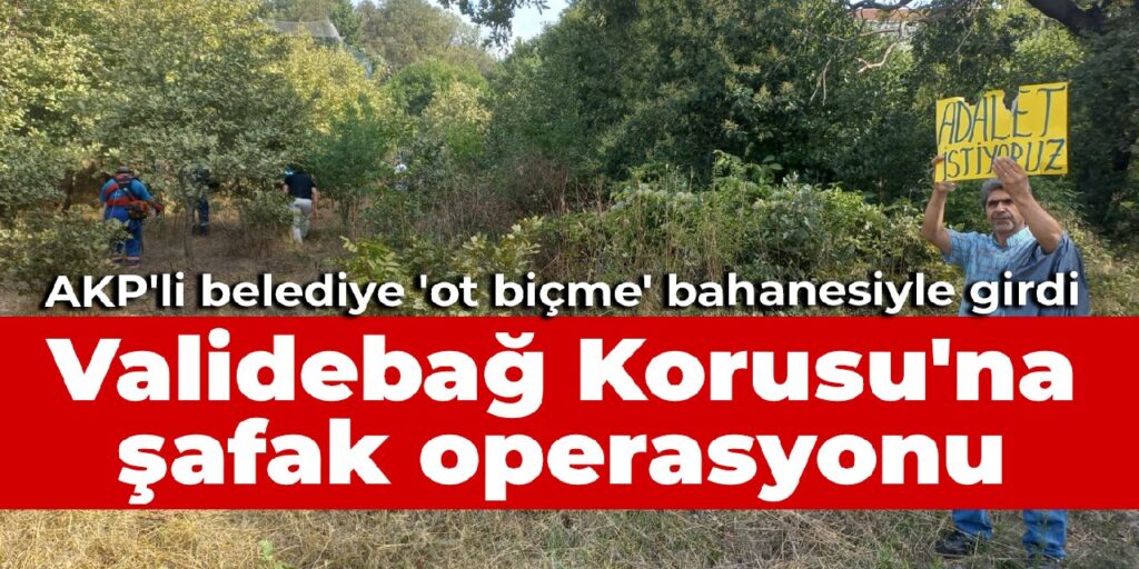 Validebağ Korusu’na şafak operasyonu: AKP’li Üsküdar Belediyesi ‘ot biçme’ bahanesiyle girdi