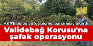 Validebağ Korusu’na şafak operasyonu: AKP’li Üsküdar Belediyesi ‘ot biçme’ bahanesiyle girdi