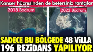 Bodrum Belediyesi uyuyor mu yoksa duygusal mı bakıyor?