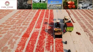 Fade Gıda’da patron hisse satışına hazırlanıyor