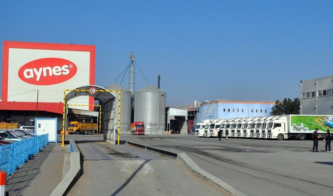 TMSF, Aynes’i bir kez daha satışa çıkardı