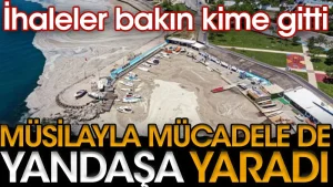 Müsilajla mücadele de yandaşa yaradı. İhaleler bakın kime gitti