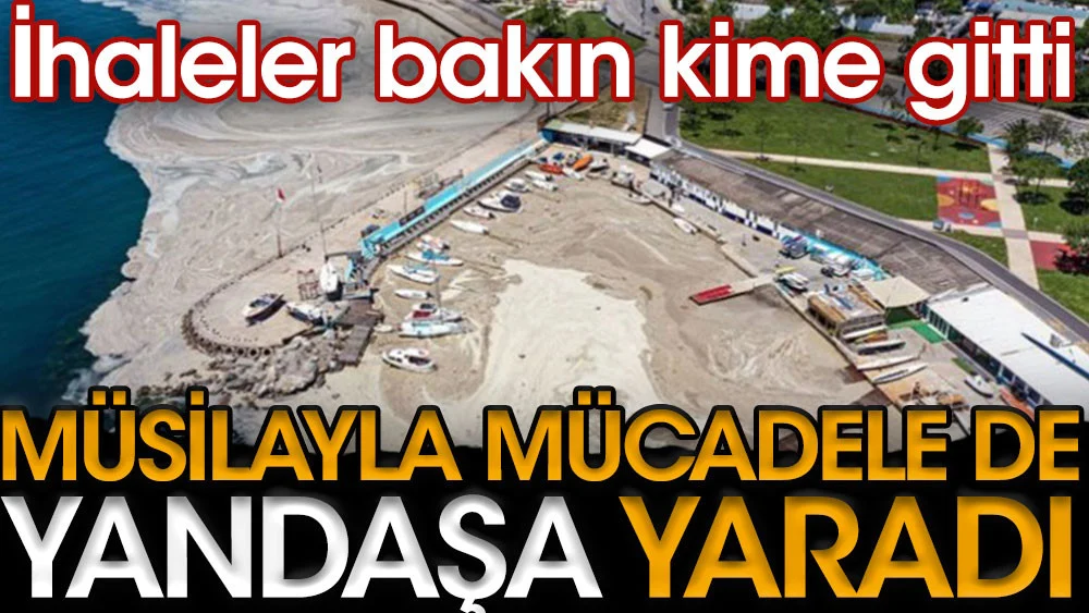 Müsilajla mücadele de yandaşa yaradı. İhaleler bakın kime gitti