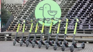 Rekabet Kurulu, Martı hakkında kararını verdi! Soruşturma başlatılmıştı…