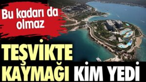 Teşvikte kaymağı kim yedi. 2 Milyar 350 milyon teşvik kime gitti!
