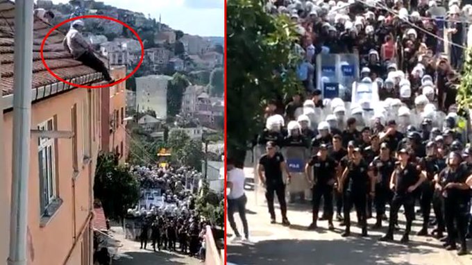 Tokatköy’de tansiyon yüksek! Kentsel dönüşüm için yüzlerce polis mahalleye geldi, vatandaş çatılara çıktı
