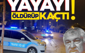 Başkan Zeydan Karalar’ın ağabeyinin damadı, yayayı öldürdü kaçtı