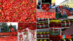 Bursa İnegöl’den Hollanda’ya “Kulaca biber salçası”