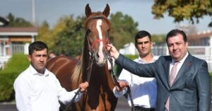 Tigem’den tarihi rekor