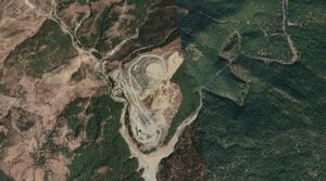 Bakanlık onaylıyor şirket zehirliyor