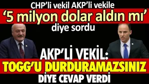 CHP’li vekil AKP’li vekile ‘5 milyon dolar aldın mı?’ diye sordu. AKP’li vekil ‘TOGG’u durduramazsınız’ diye yanıt verdi