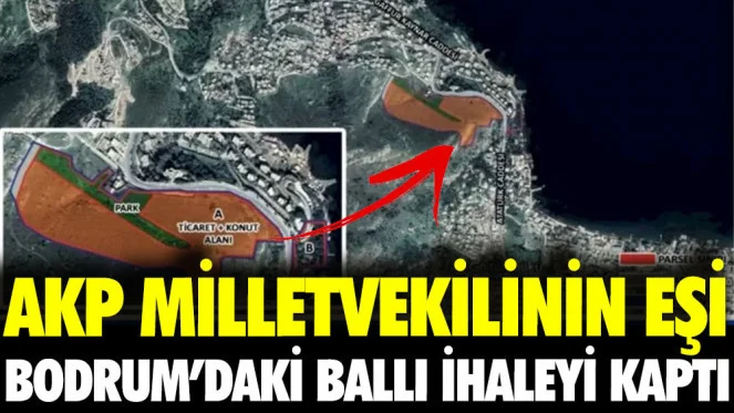 AKP Milletvekilinin eşi Bodrum’daki ballı ihaleyi kaptı