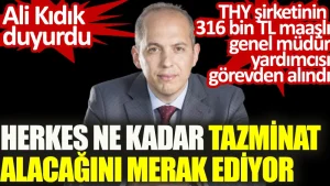 THY şirketinin 316 bin TL maaşlı mobilyacı genel müdür yardımcısı görevden alındı