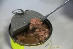 Ton balığındaki tehlike: 33 markadan da ‘mikroplastik’ çıktı