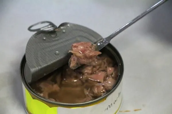 Ton balığındaki tehlike: 33 markadan da ‘mikroplastik’ çıktı