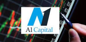 SPK’dan A1 Capital’e 24 milyon TL para cezası
